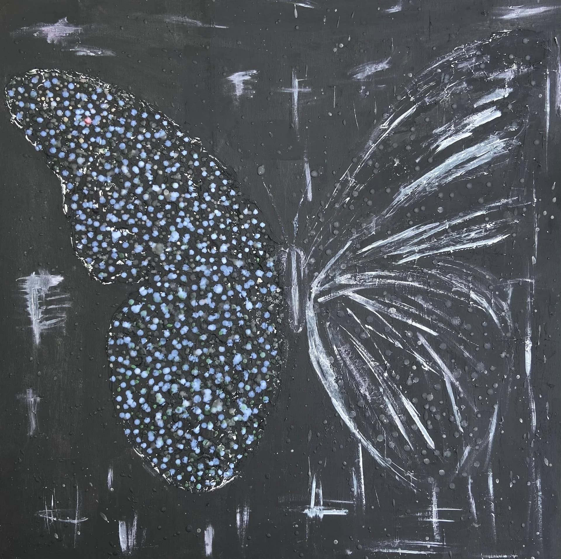 BUTTERFLY NERO — Helen She