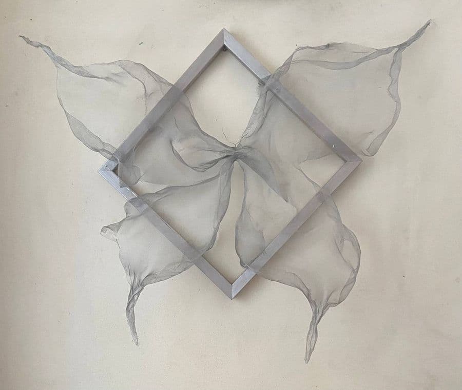 Metamorphosis in Flight — Helen She