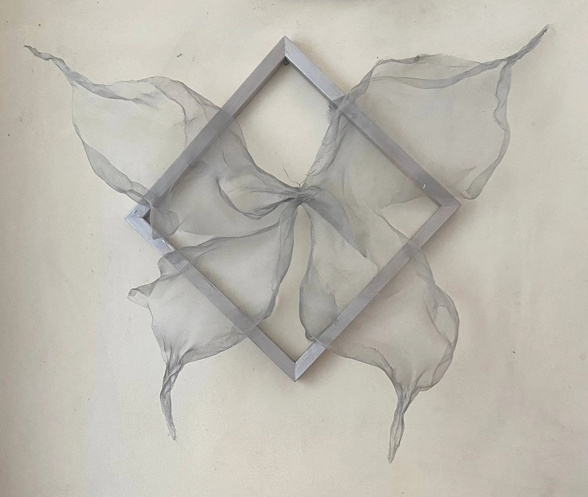 Metamorphosis in Flight — Helen She