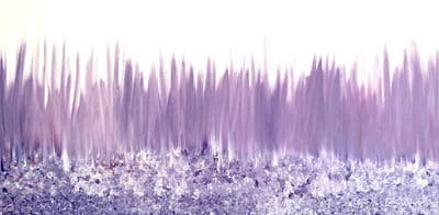 FRESH LAVENDER — Helen She