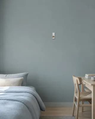 CHINESE DRAGON shown in Bedroom / Study