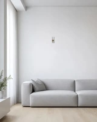 CHINESE DRAGON shown in Minimalist Living Room