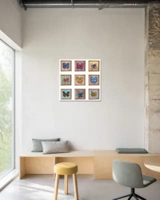 Nine Butterflies shown in Creative Office