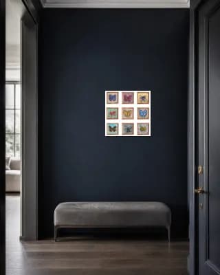 Nine Butterflies shown in Entryway